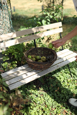 Cesta de cosecha Sienna de sauce