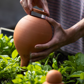 Olla 'Nature' L