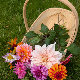 Houten Trug L