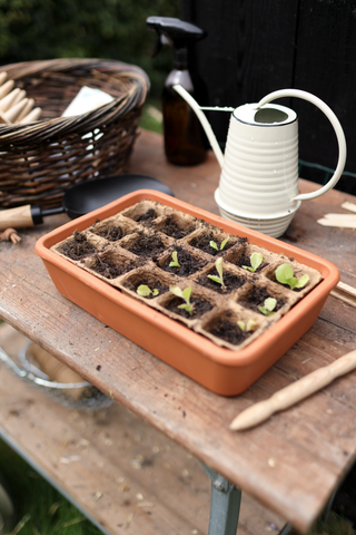 Macetas de cultivo biodegradables 5cm (36)