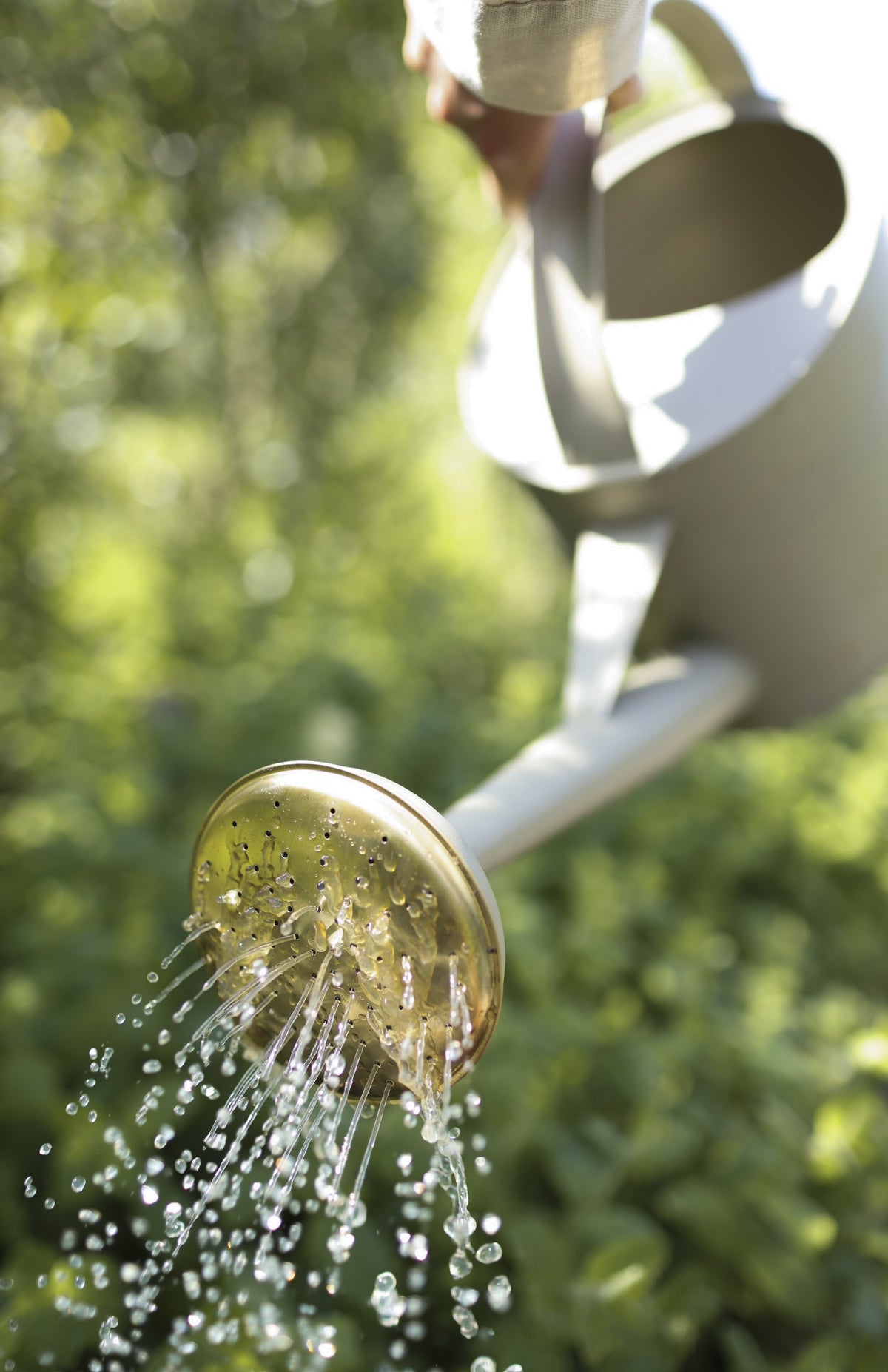 Water geven aan planten met een gieter