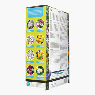 Friendly Flowers XL abejas bajo 50m²