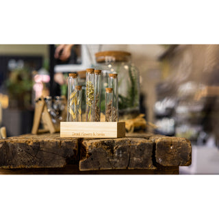 Tubitos para flores y hierbas de madera L