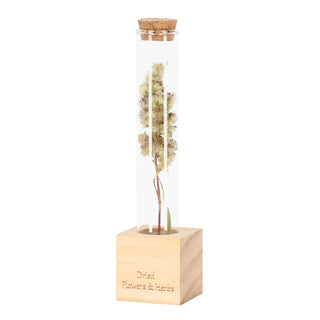 Tubitos para flores y hierbas de madera S