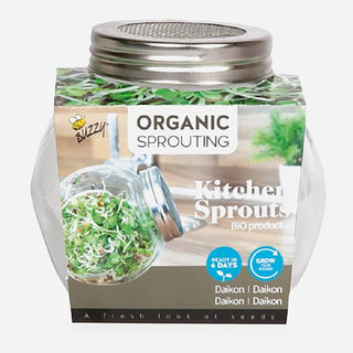 Buzzy Sprouting Kiemgroente Daikon Radijs in Glazen Pot