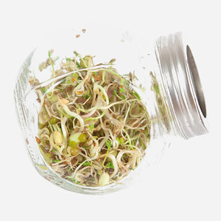 Buzzy Organic Kiemgroente Salademix in Glazen Pot