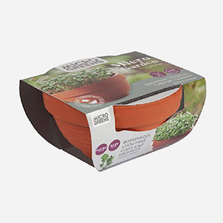 Buzzy Organic Microgreens Terra Schaaltje Boerenkool