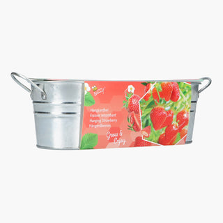 Buzzy Teil Small Garden - Sweet Strawberry