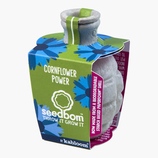 Korenbloem Zaadbom