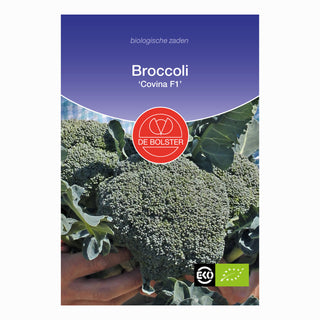 Brócoli 'Covina F1'