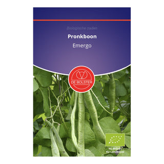 De Bolster Pronkboon 'Emergo' 1200