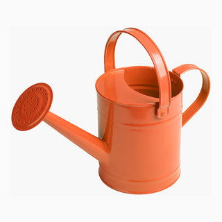 Regadera infantil