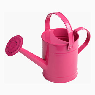 Regadera infantil