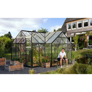 Sirio 'Orangerie'