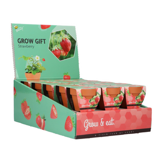 Groeicadeautje Aardbei