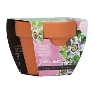 Groeicadeautje Passiflora