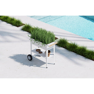 Urban Garden Trolley Kweektafel