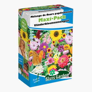 Sluis Garden Vlinderbloemen 100g