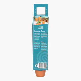 Sogo Stenen Terracotta Potjes 4/5cm (12)