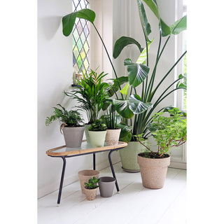 Plantenpot 'Jungle Fever' L